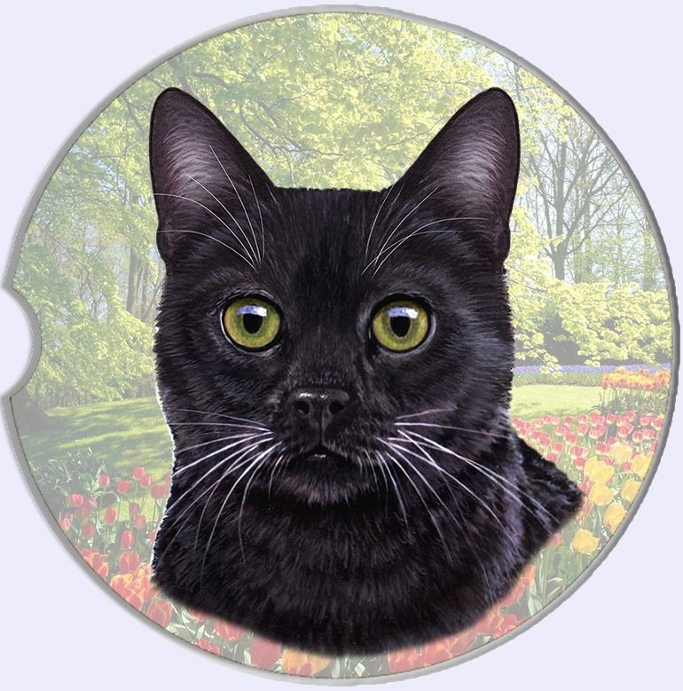 Cat Breed Car Coasters