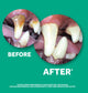 TropiClean Fresh Breath Oral Care Clean Teeth Gel 4oz