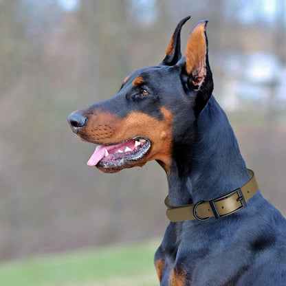 Biothane Waterproof Collar - Neon Pink