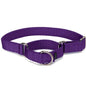 Martingale Collars by PetSafe