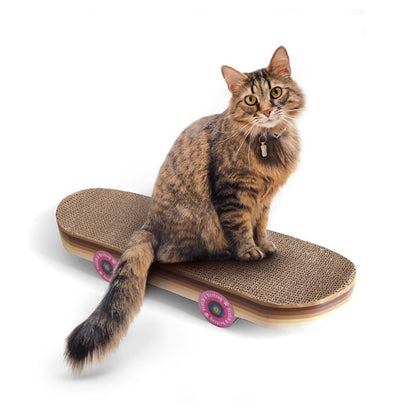 Skateboard Cat Scratcher