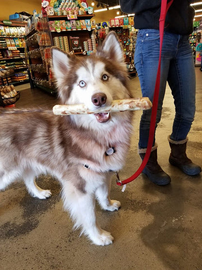 Pork No-Hide® Wholesome Chews - Large