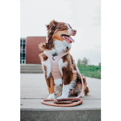 Dog Rope Leash - Sicily