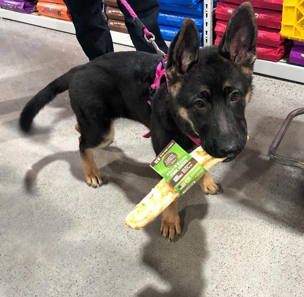Pork No-Hide® Wholesome Chews - Medium