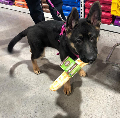 Pork No-Hide® Wholesome Chews - Medium