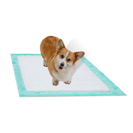 All-Day Dry Dog Pads - Super 50 Pack