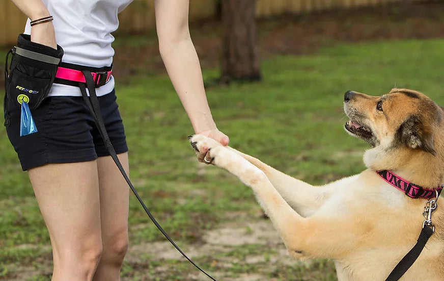 Biscuit Buddy Treat Pouch