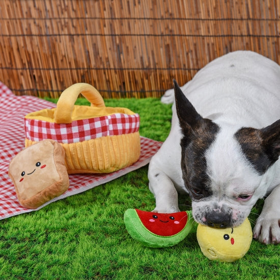 HugSmart Pet - Picnic Time | Picnic Basket