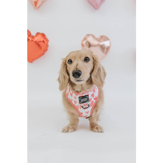 Reversible Dog Harness - Dolce Rose