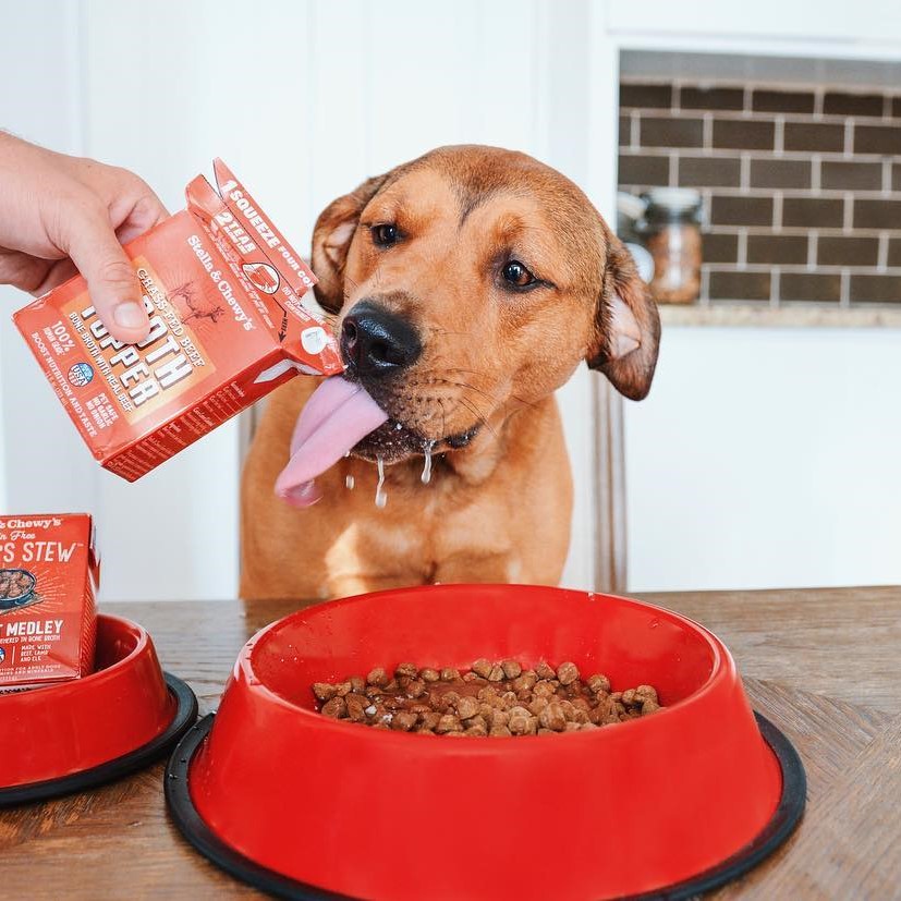 Stella&Chewy's Dog Wet Food - Grass-Fed Beef Broth