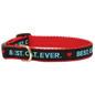 Best Cat Ever Cat Collar