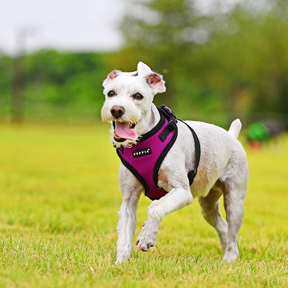 Puppia Rite Fit Harness, Purple