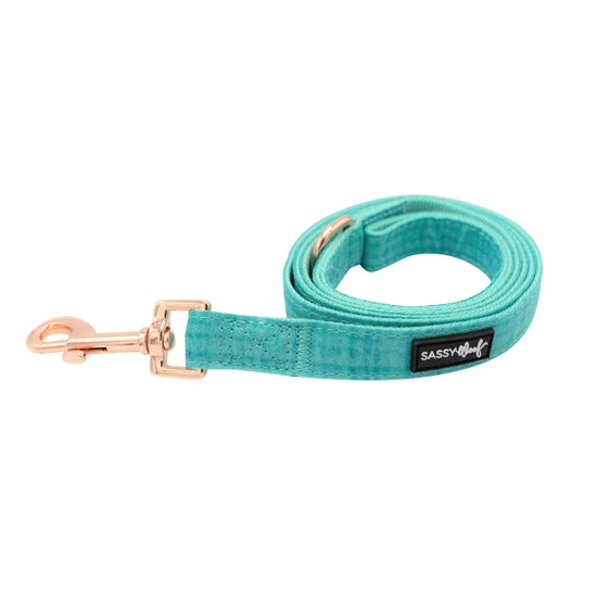 Dog Leash - Wag Your Teal