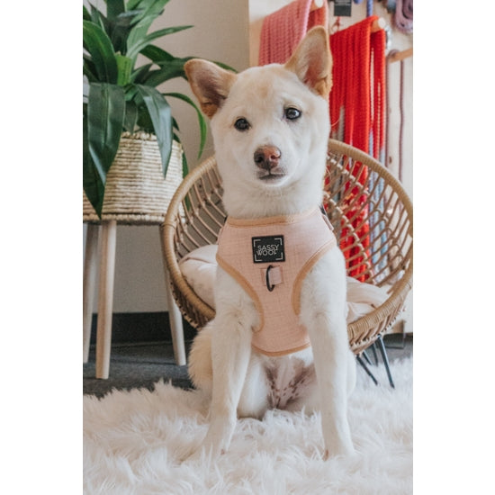 Dog Harness - Pinot