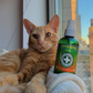 Catnip Spray