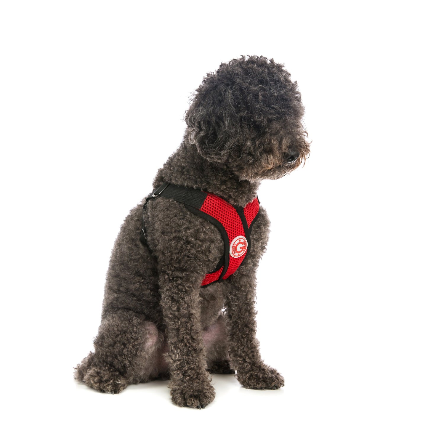 Comfort X Step-In Harness