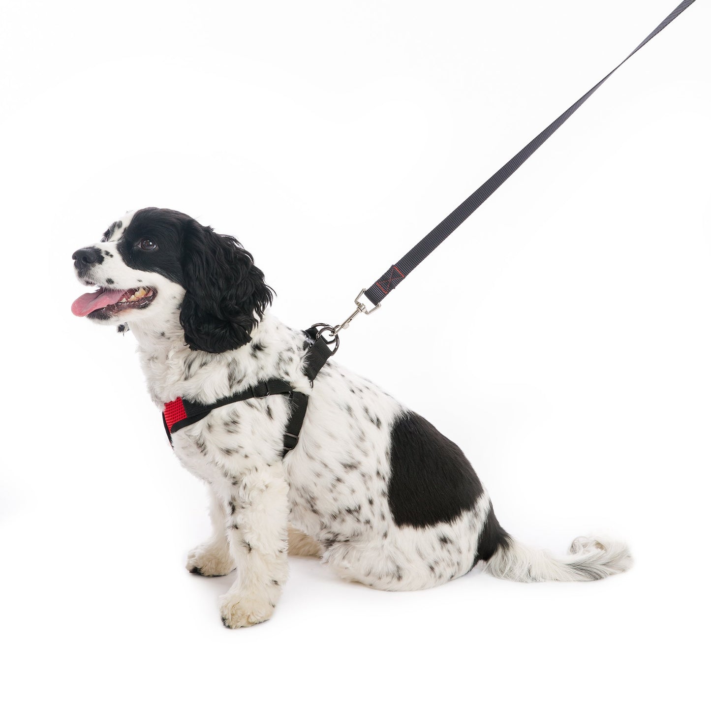 Comfort X Step-In Harness