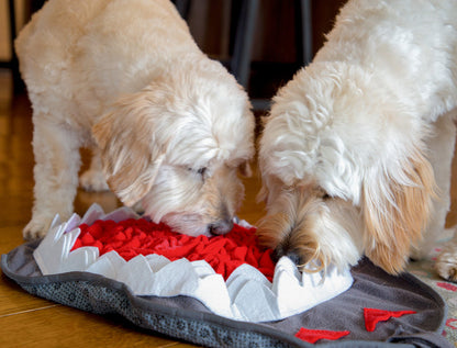 Shark Snuffle Mat