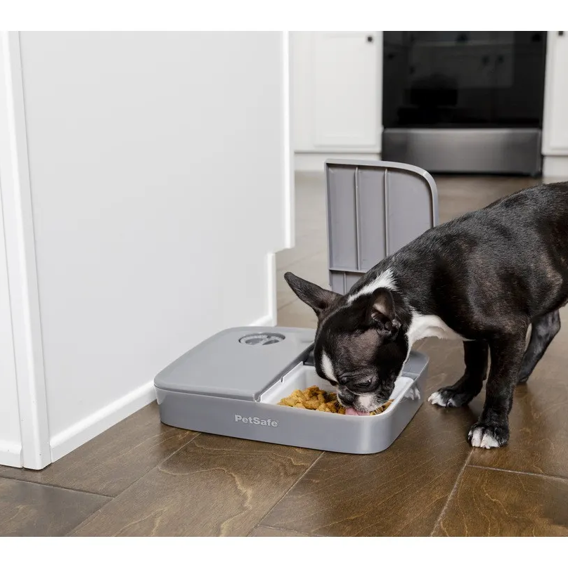 Automatic 2 Meal Pet Feeder