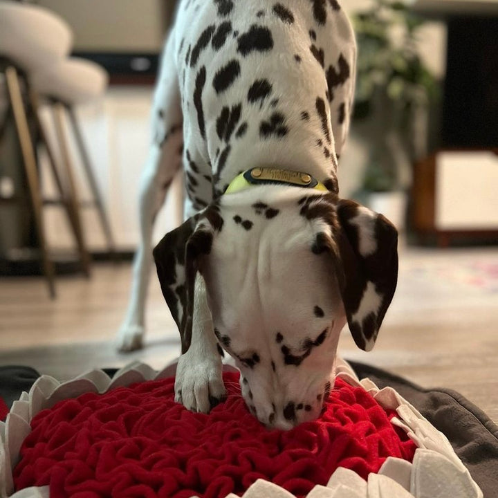 Shark Snuffle Mat