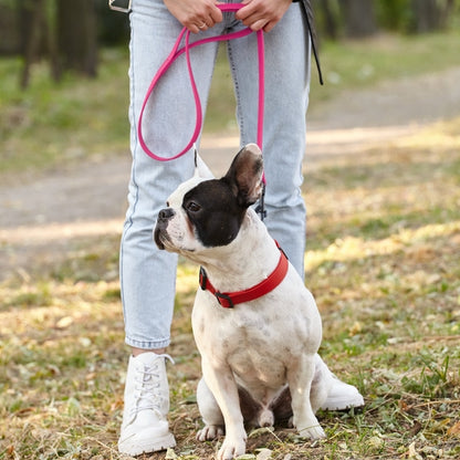 Biothane Waterproof Leash - Neon Pink