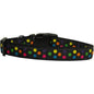 Rainbow Dot Dog Collar