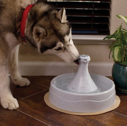 Drinkwell 360 Pet Fountain (Brown Box)