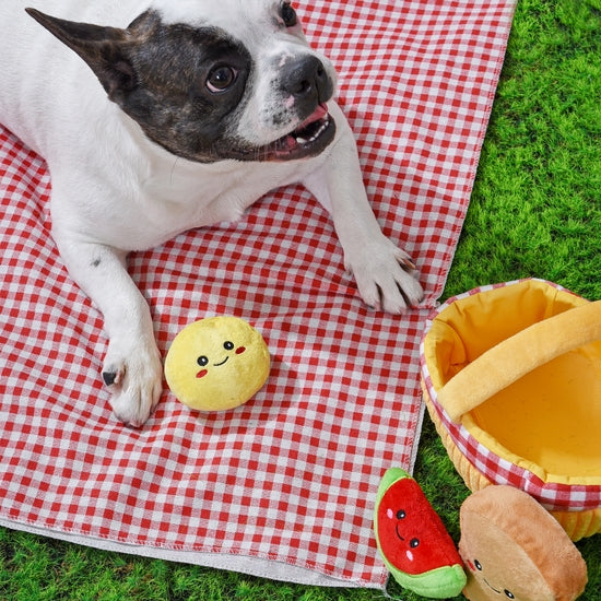 HugSmart Pet - Picnic Time | Picnic Basket