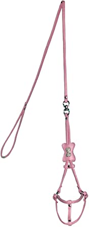 Rhinestone Bone Step-in Harness