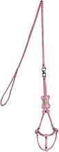 Rhinestone Bone Step-in Harness