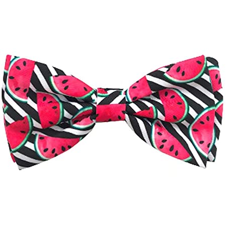 Watermelon Bow Tie