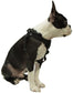 Luxury Step-In Harness