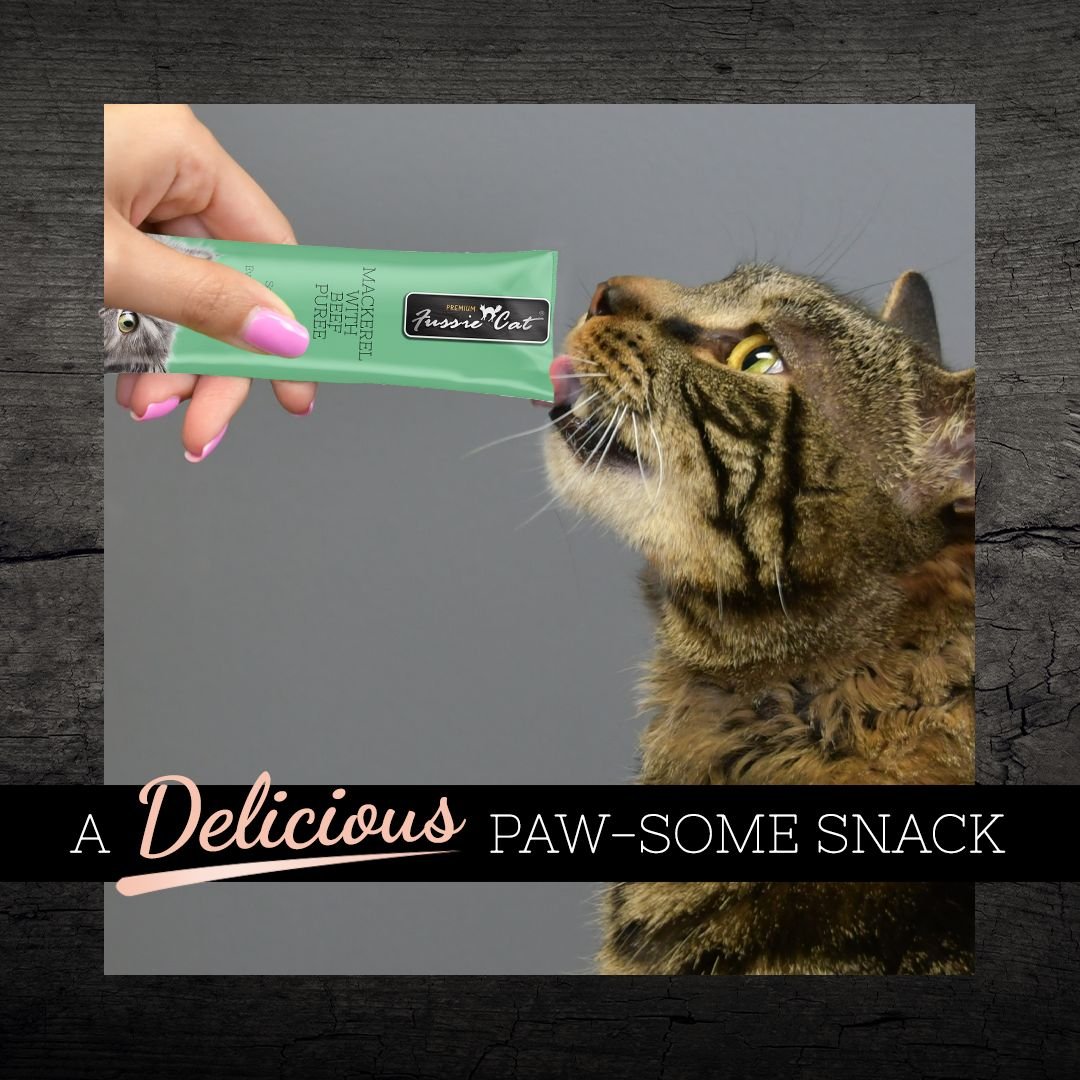 Fussie Cat Mackerel & Beef Puree Lickable Cat Treats (0.5oz *4pk)