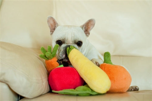 P.L.A.Y. Farm Fresh Veggie Plush Dog Toy, Pepper