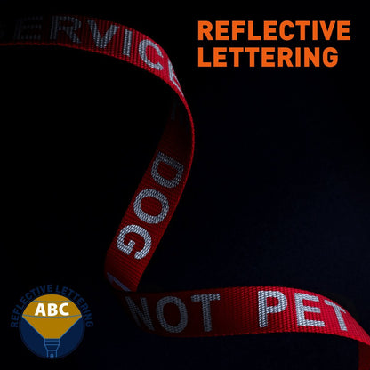 Reflective Red Nylon Leash - DO NOT PET