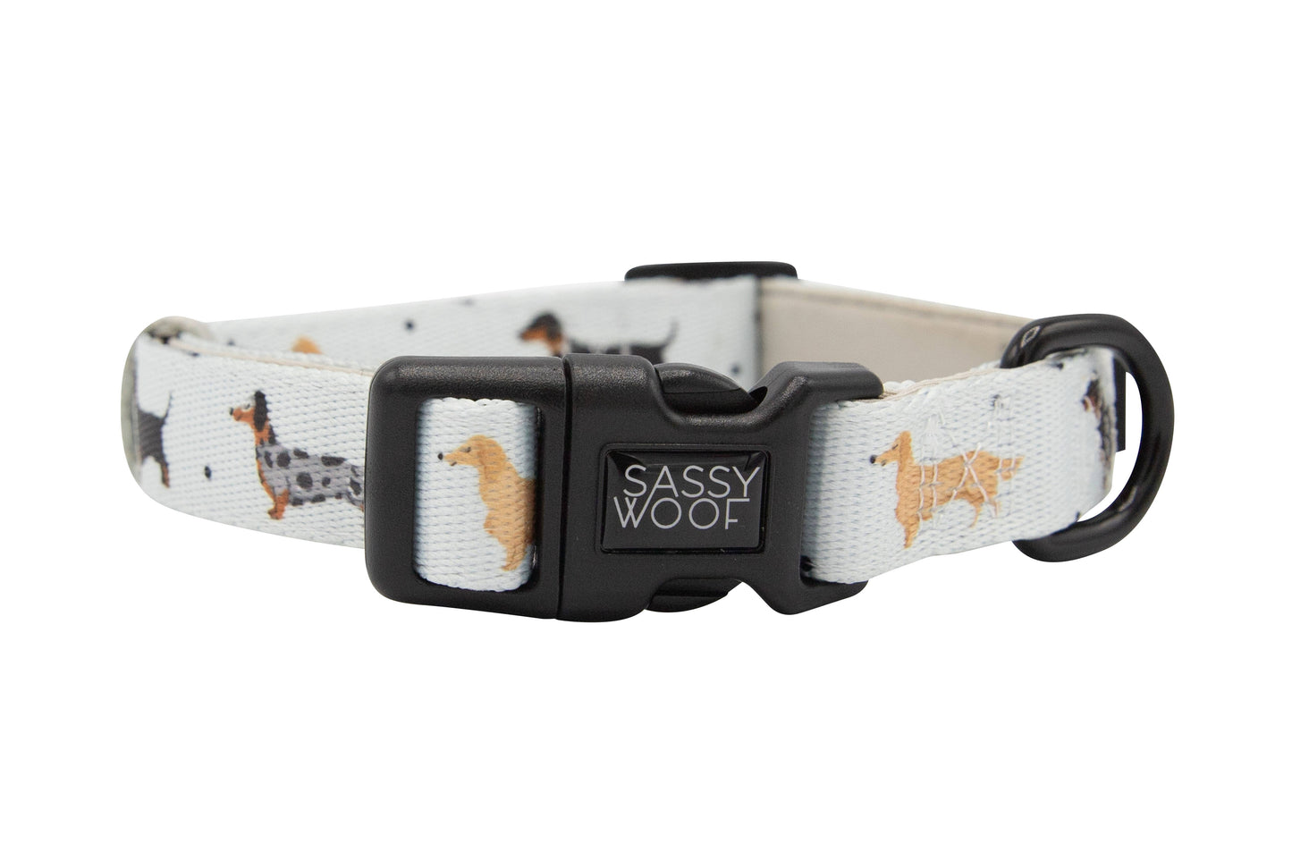 Dog Collar - 101 Dachshund