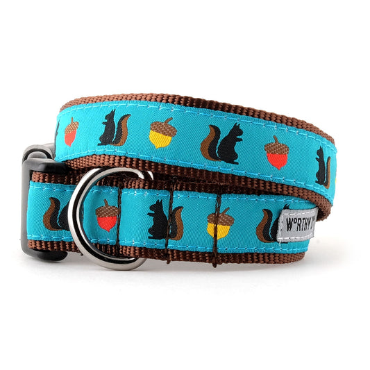 Squirrelly Dog Collar