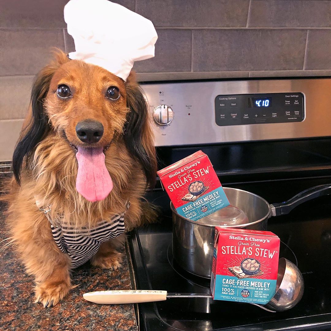 Stella&Chewy's Dog Wet Food - Cage-Free Medley Stew