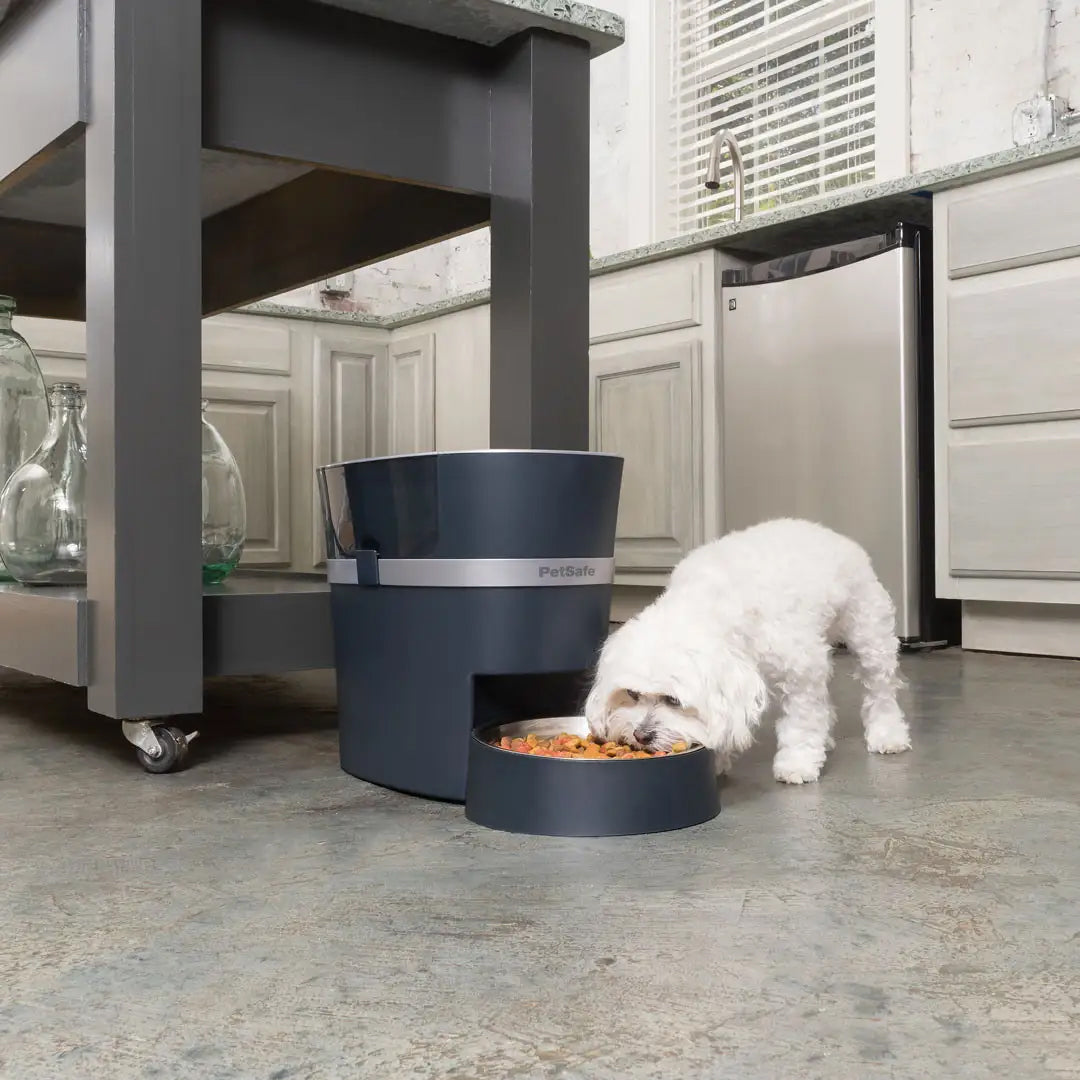 Smart Feed Automatic Dog and Cat Feeder, 2nd Generation