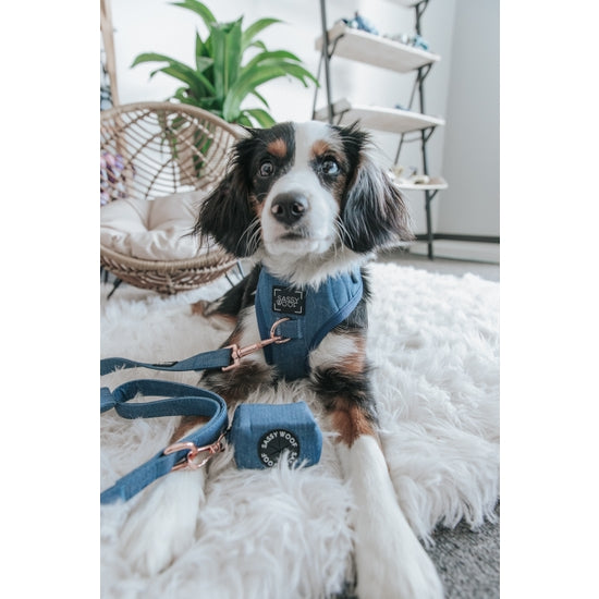 Dog Harness - Denim