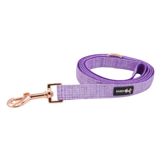 Dog Leash - Aurora