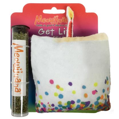 Get Lit Refillable Birthday Cake