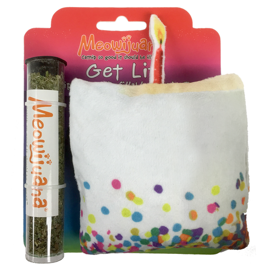 Get Lit Refillable Birthday Cake