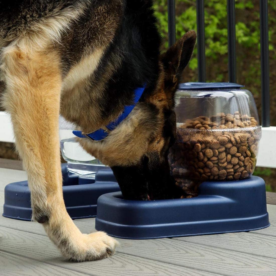 Bergan Petite Gourmet - Feeder(6lbs) or Water Dispenser(1.5gal)