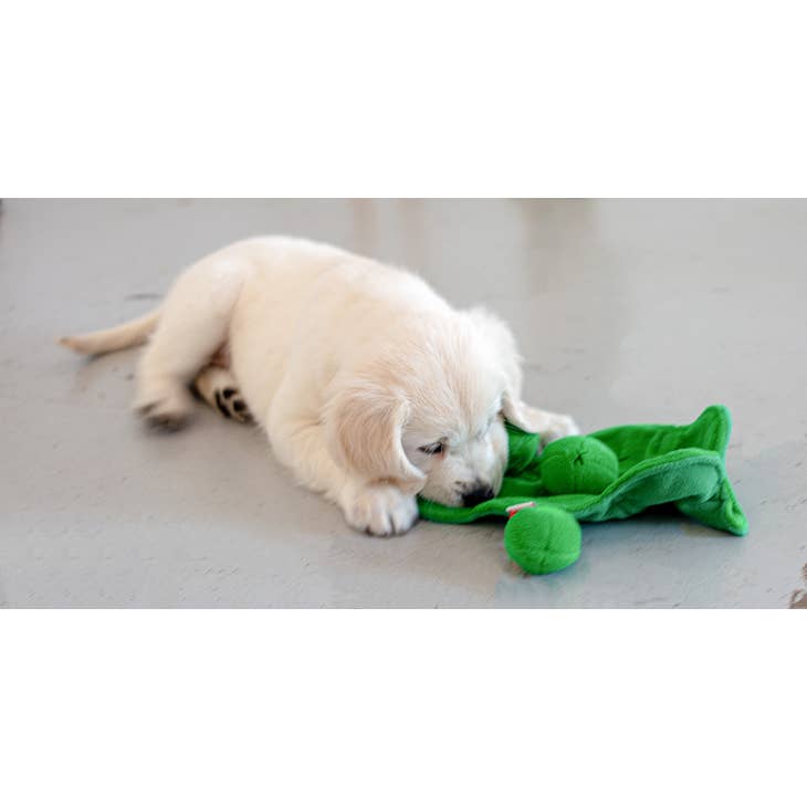 Pea Pod Snuffle Toy