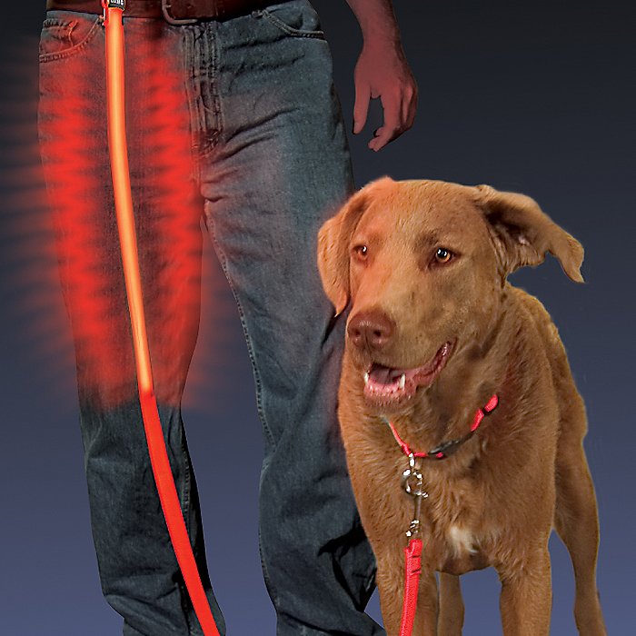 LED Light-Up Leash