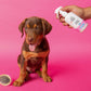 Skout's Honor Probiotic Detangler Happy Puppy (8oz)