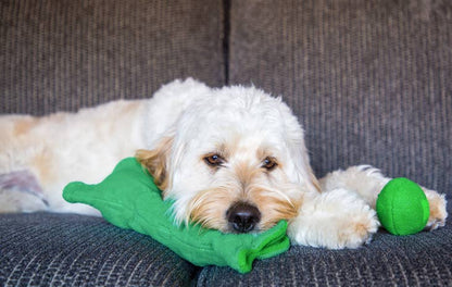 Pea Pod Snuffle Toy