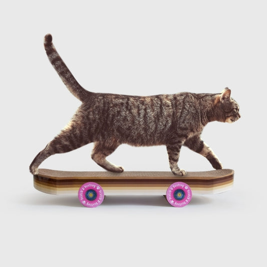 Skateboard Cat Scratcher