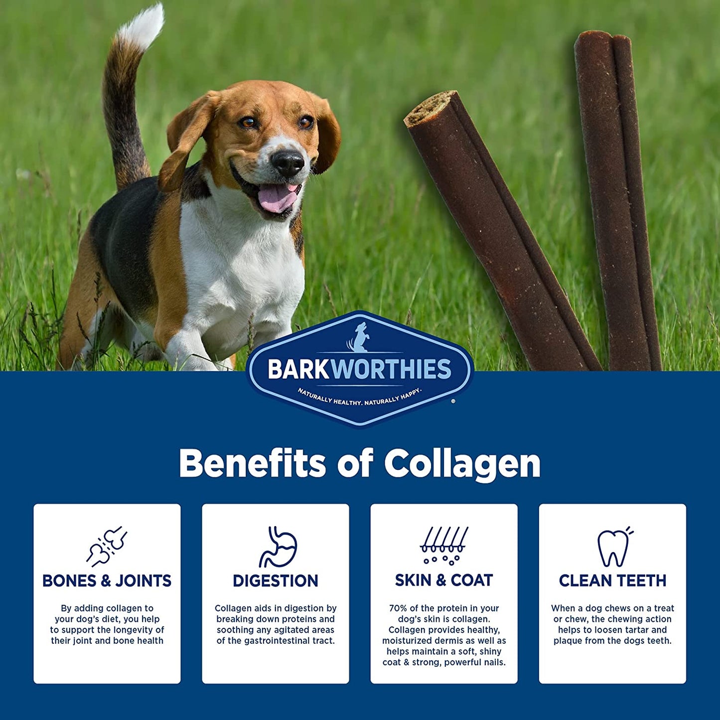 Barkworthies Beef Collagen Stick 12"